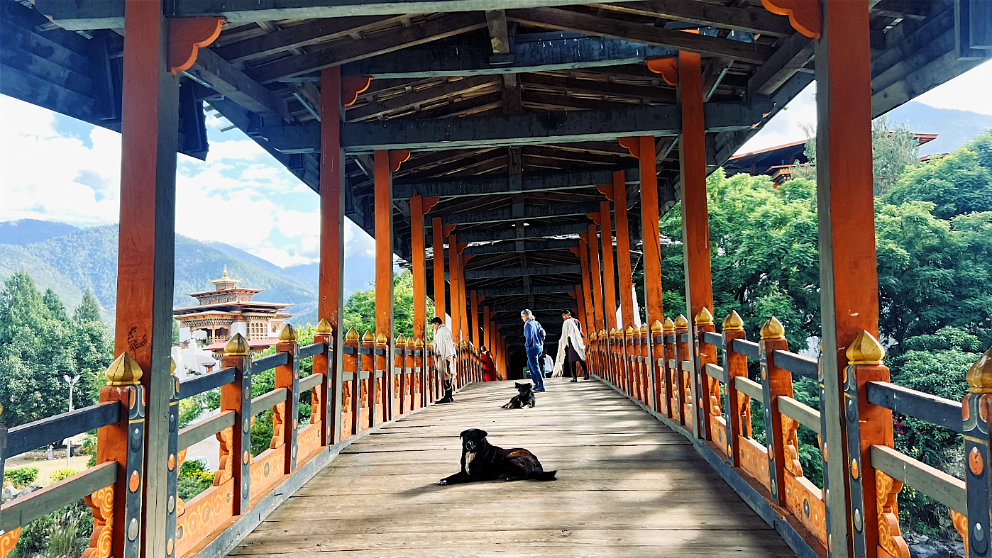 Travel To Nature Asia