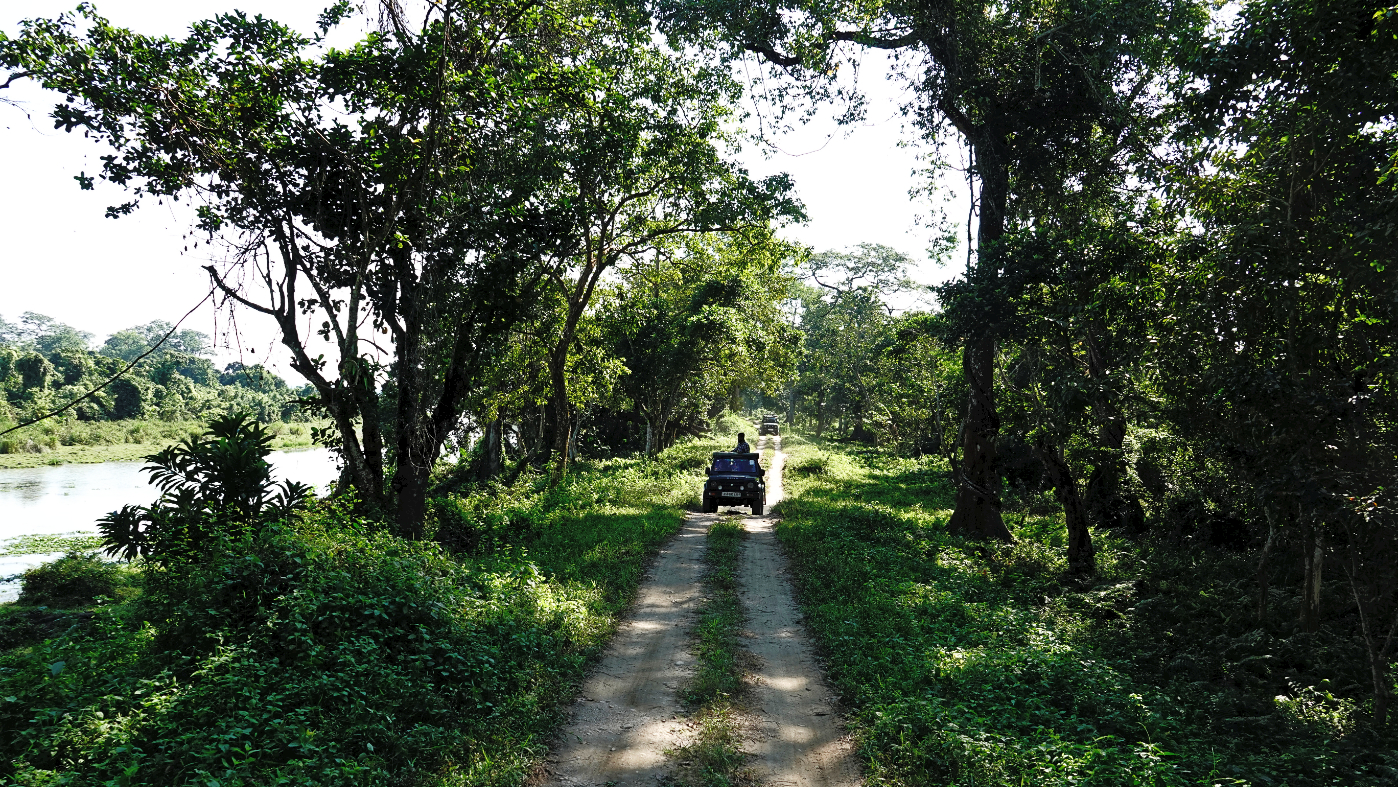 Travel To Nature Asia