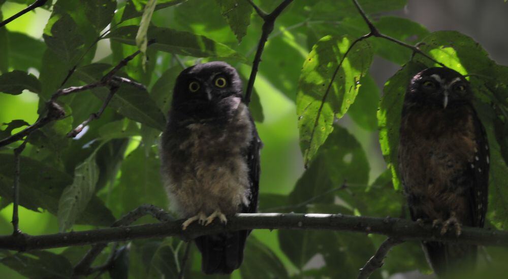 Travel To Nature Asia