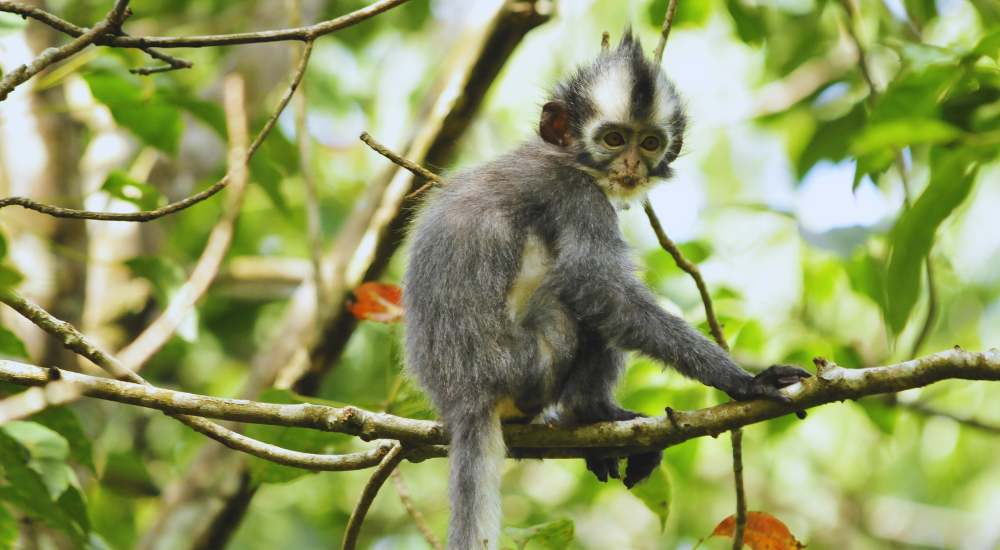 Travel To Nature Asia