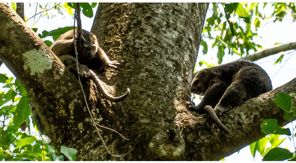 Travel To Nature Asia