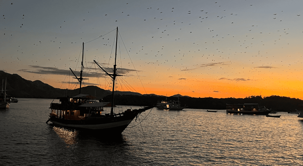 Travel To Nature Asia