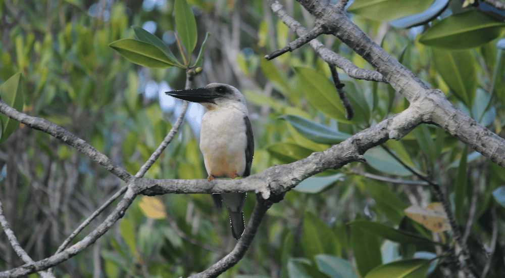 Travel To Nature Asia