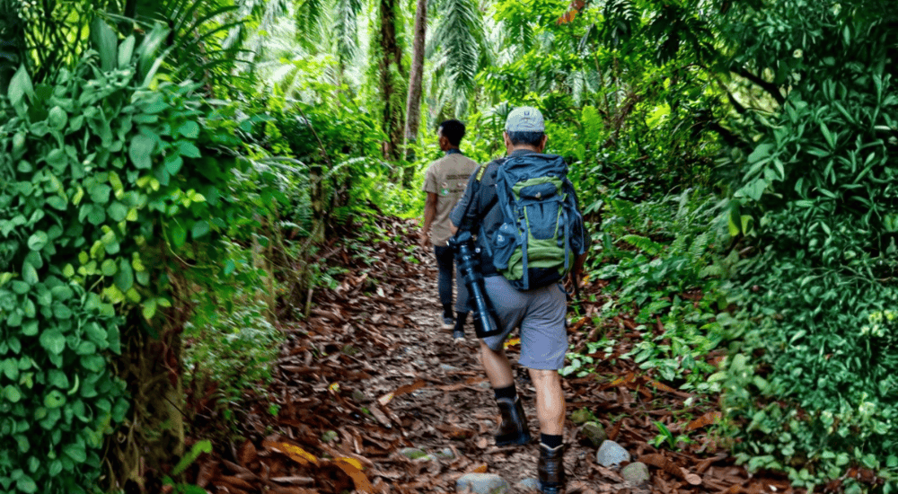 Travel To Nature Asia