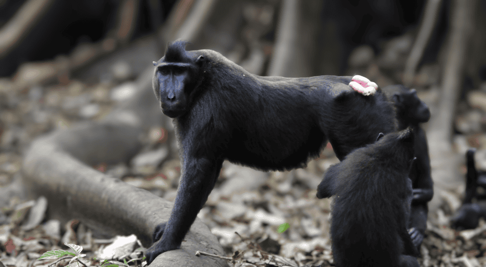 Travel To Nature Asia