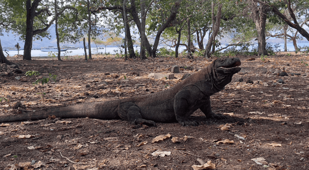 Travel To Nature Asia