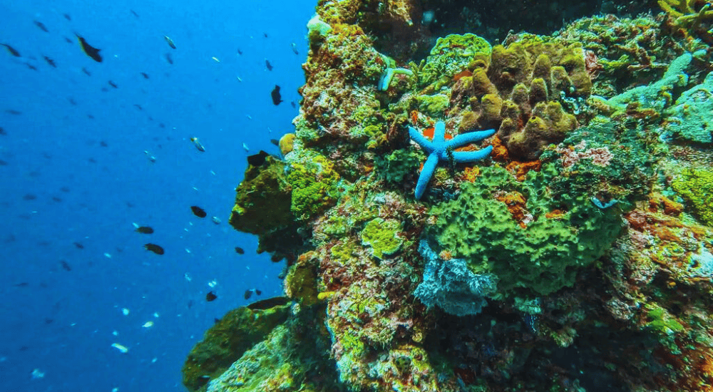 Travel To Nature Asia