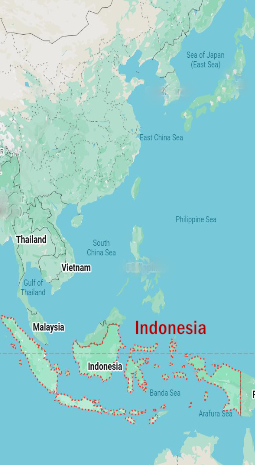 Wild Indonesia: Wildlife Adventure in Sumatra |Komodo NP |Sulawesi