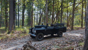 Jeep safari in Bardiya National Park using a vintage Land Rover