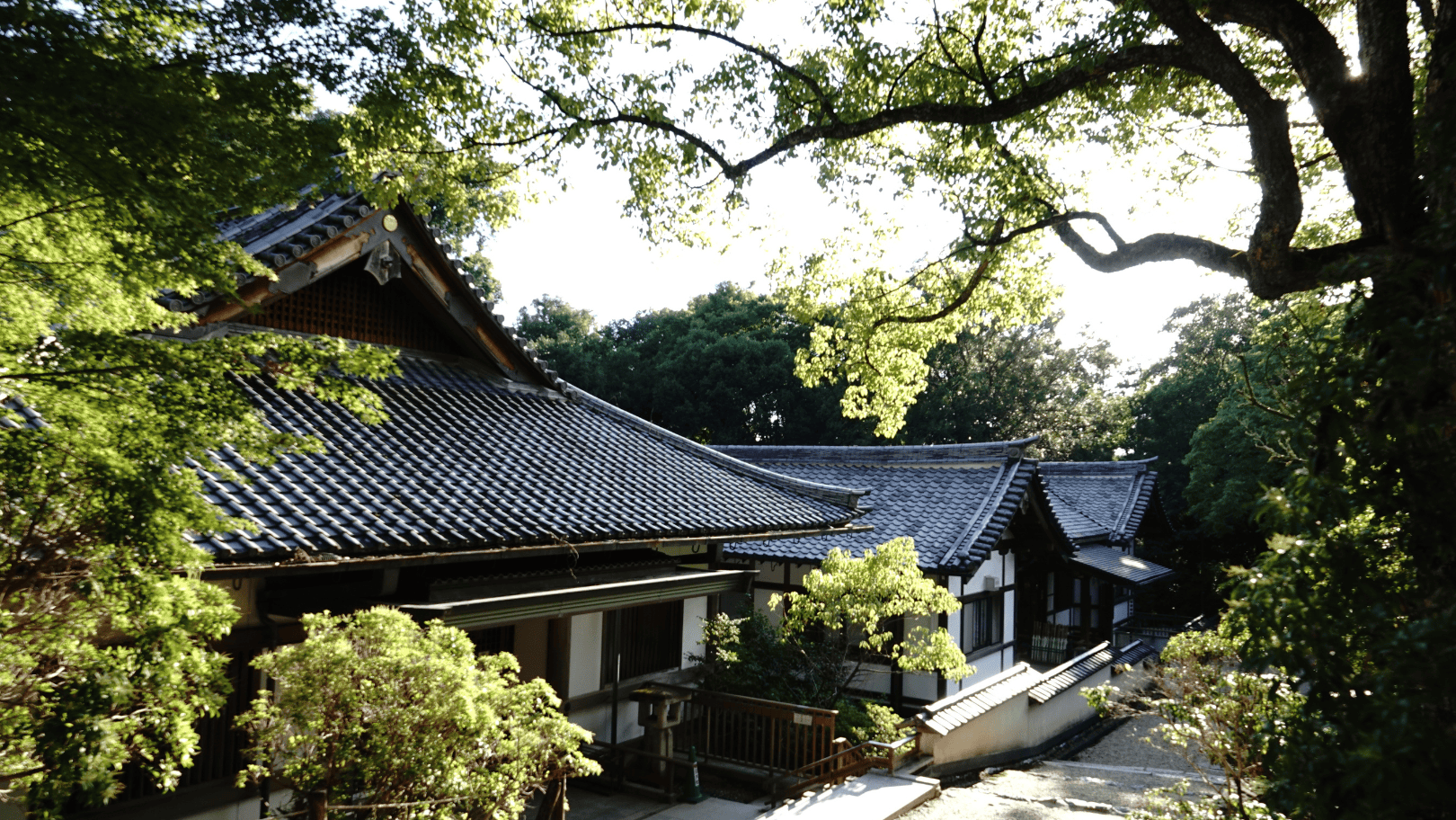 Travel To Nature Asia