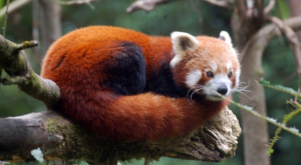 Travel To Nature Asia