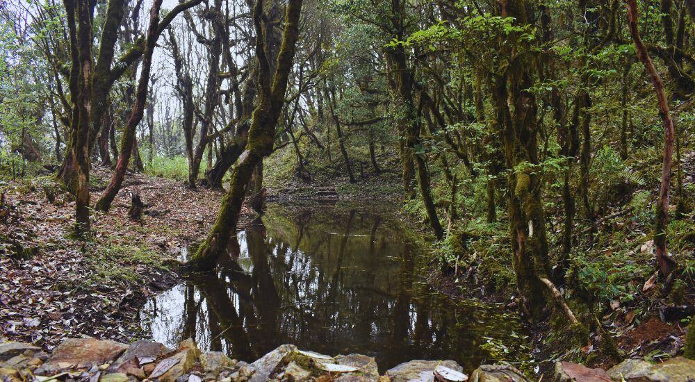 Travel To Nature Asia