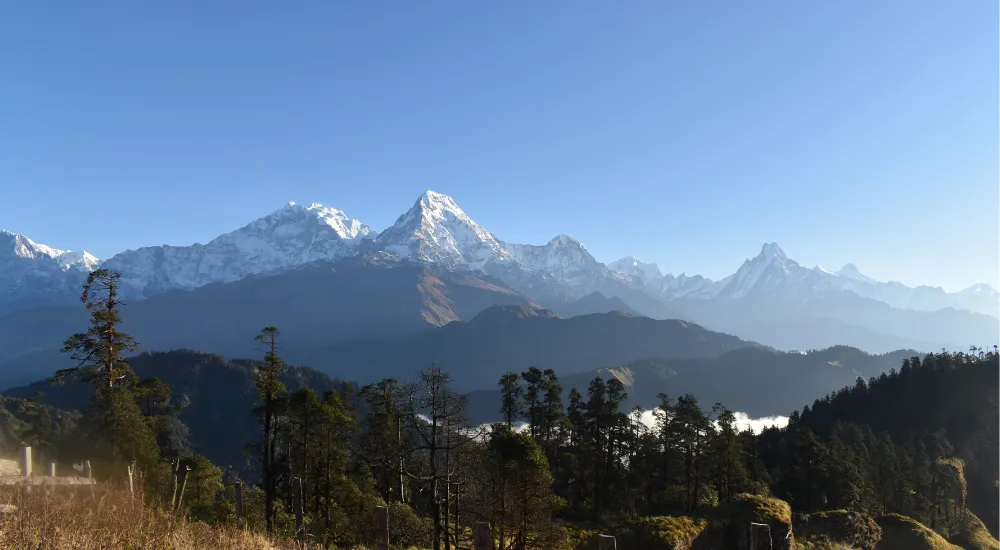 Travel To Nature Asia