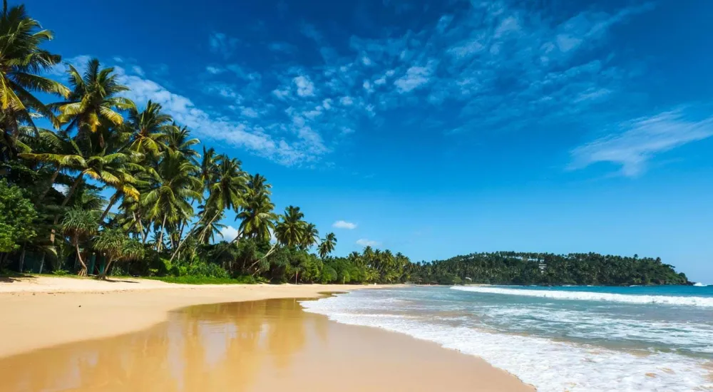 Travel To Nature Asia
