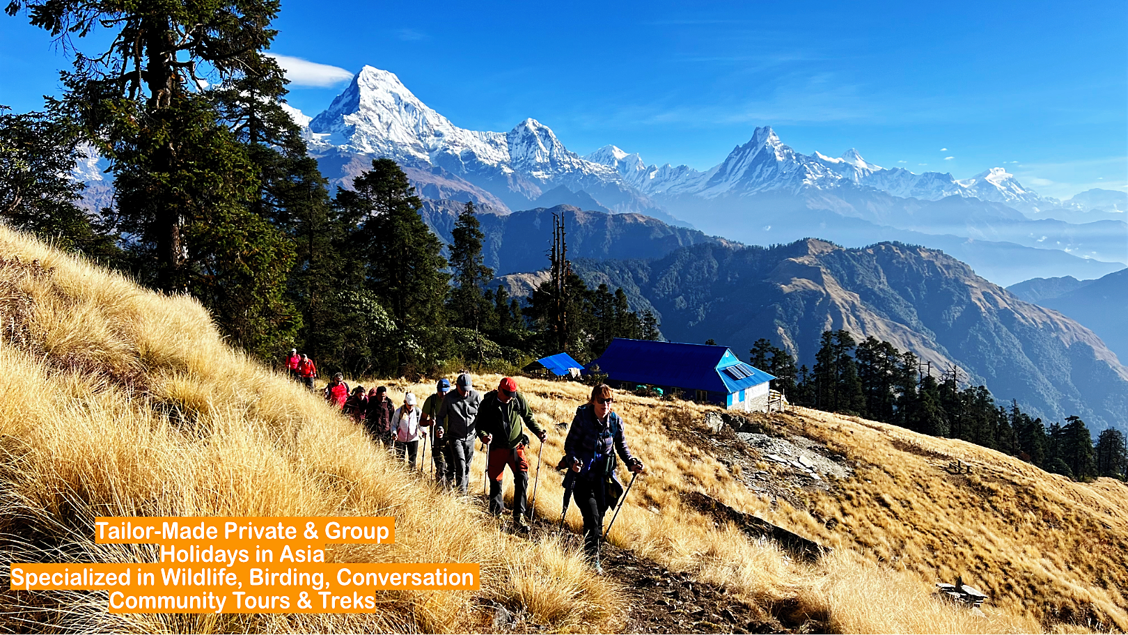 Mohare Danda Trek