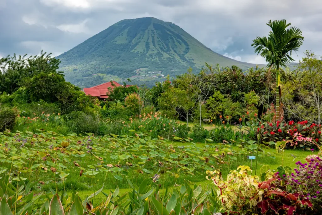 indonesia volcano island wildlife journey