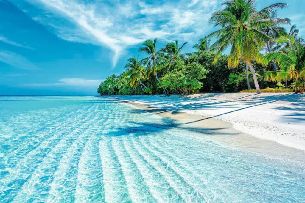 maldives coral reef marine nature holiday