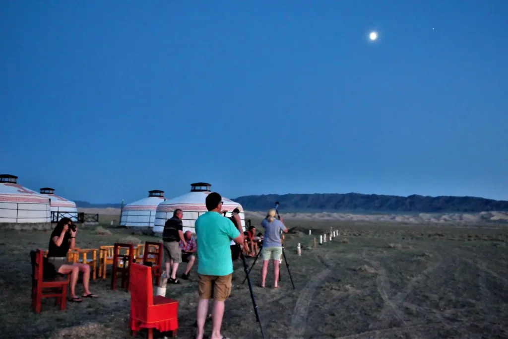 mongolia black necked crane wildlife journey