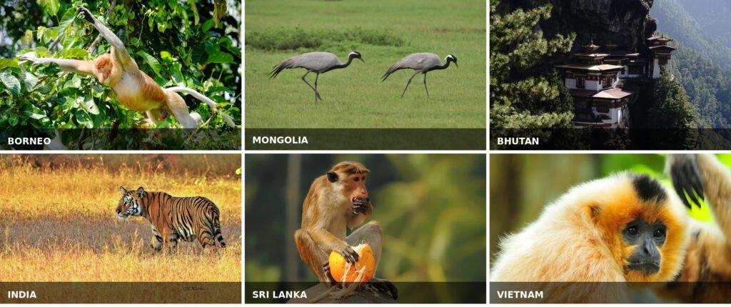 Asia wildlife and cultural destinations featuring Mongolia, Bhutan, India, Sri Lanka, Vietnam and Borneo