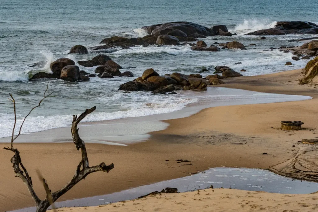 Beautiful Sri lanka Coast 
